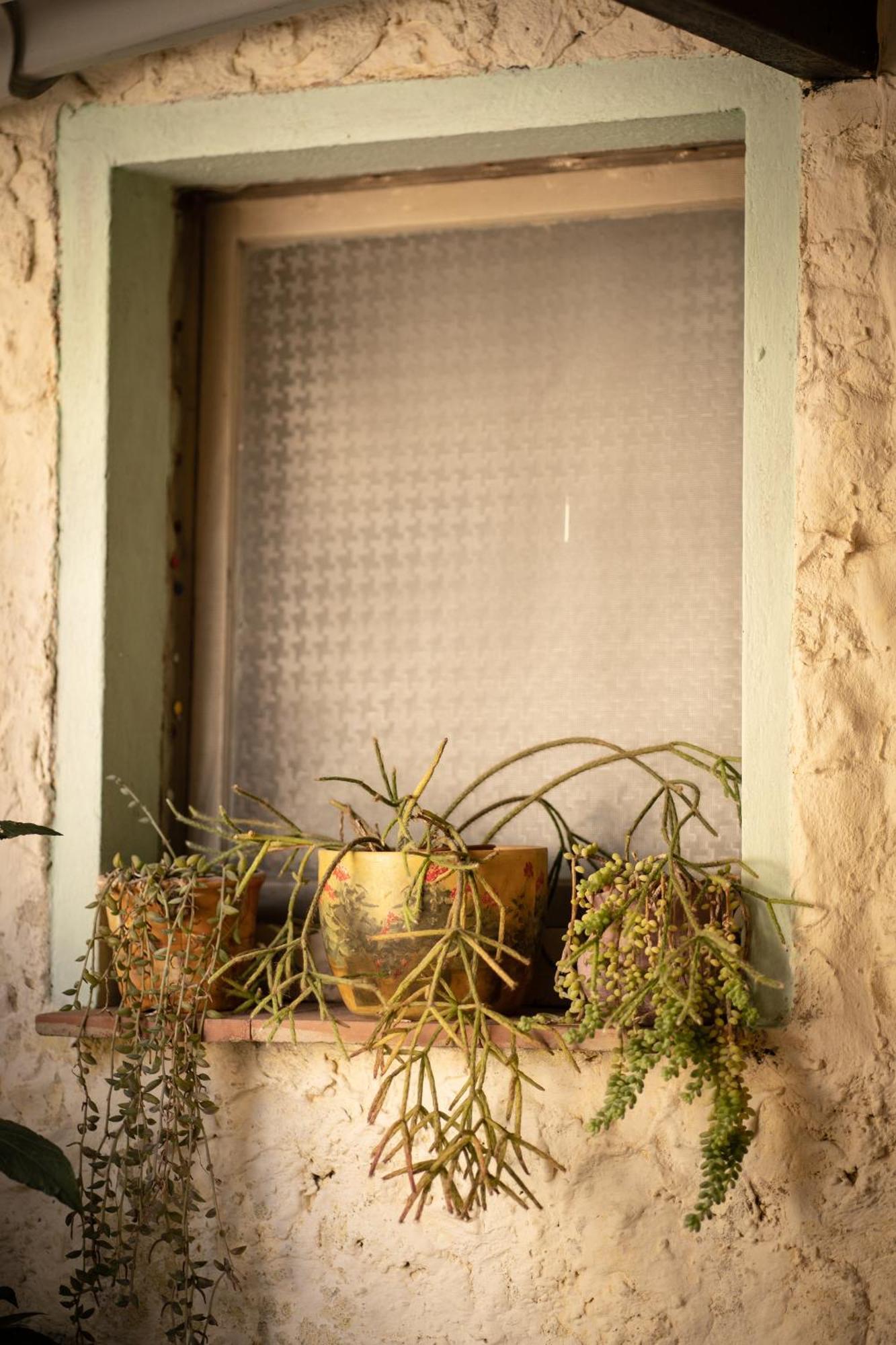 Sa Domu De Ladiri - Matrimoniale Con Giardino Bed & Breakfast Musei Exterior foto